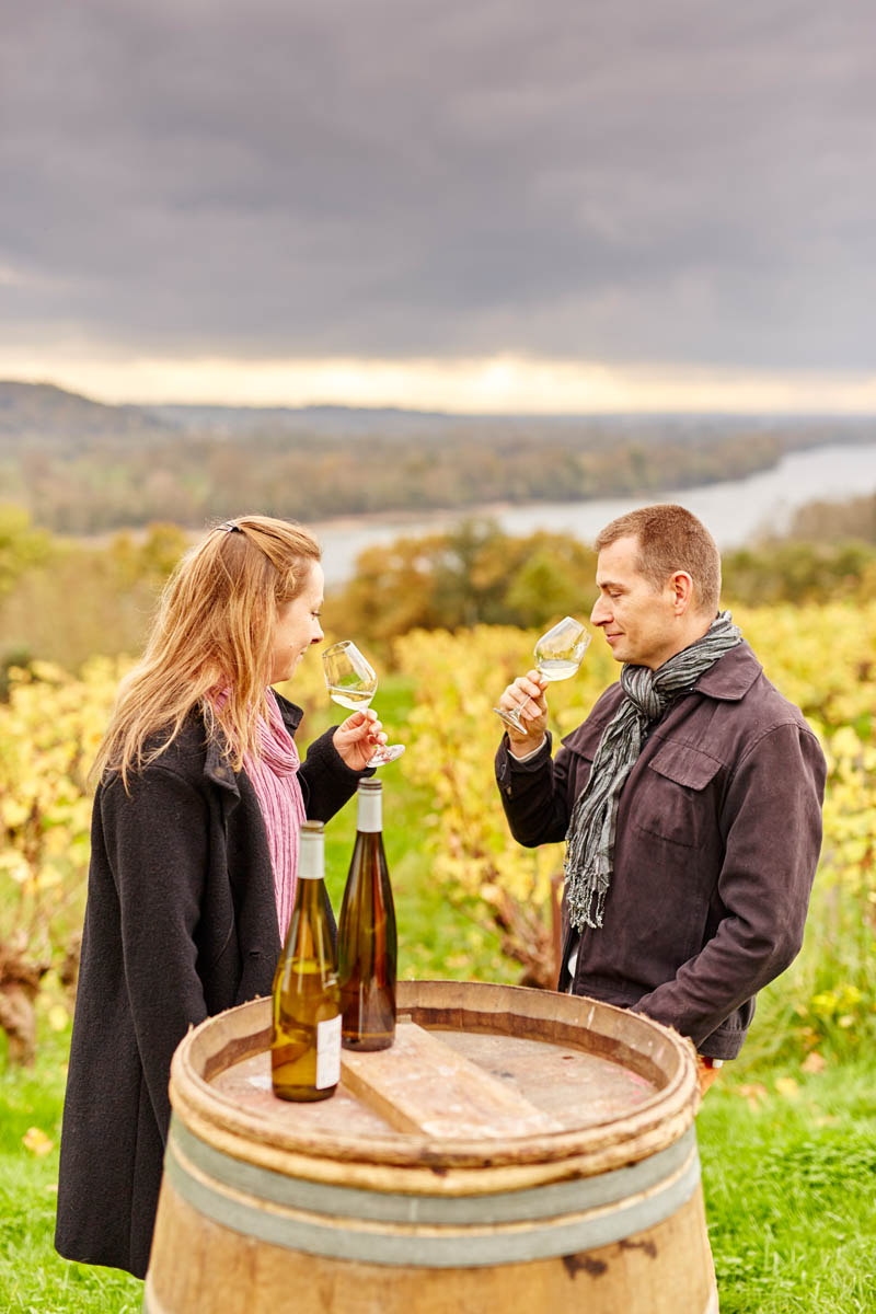 Vignoble, domaine des Genaudieres.