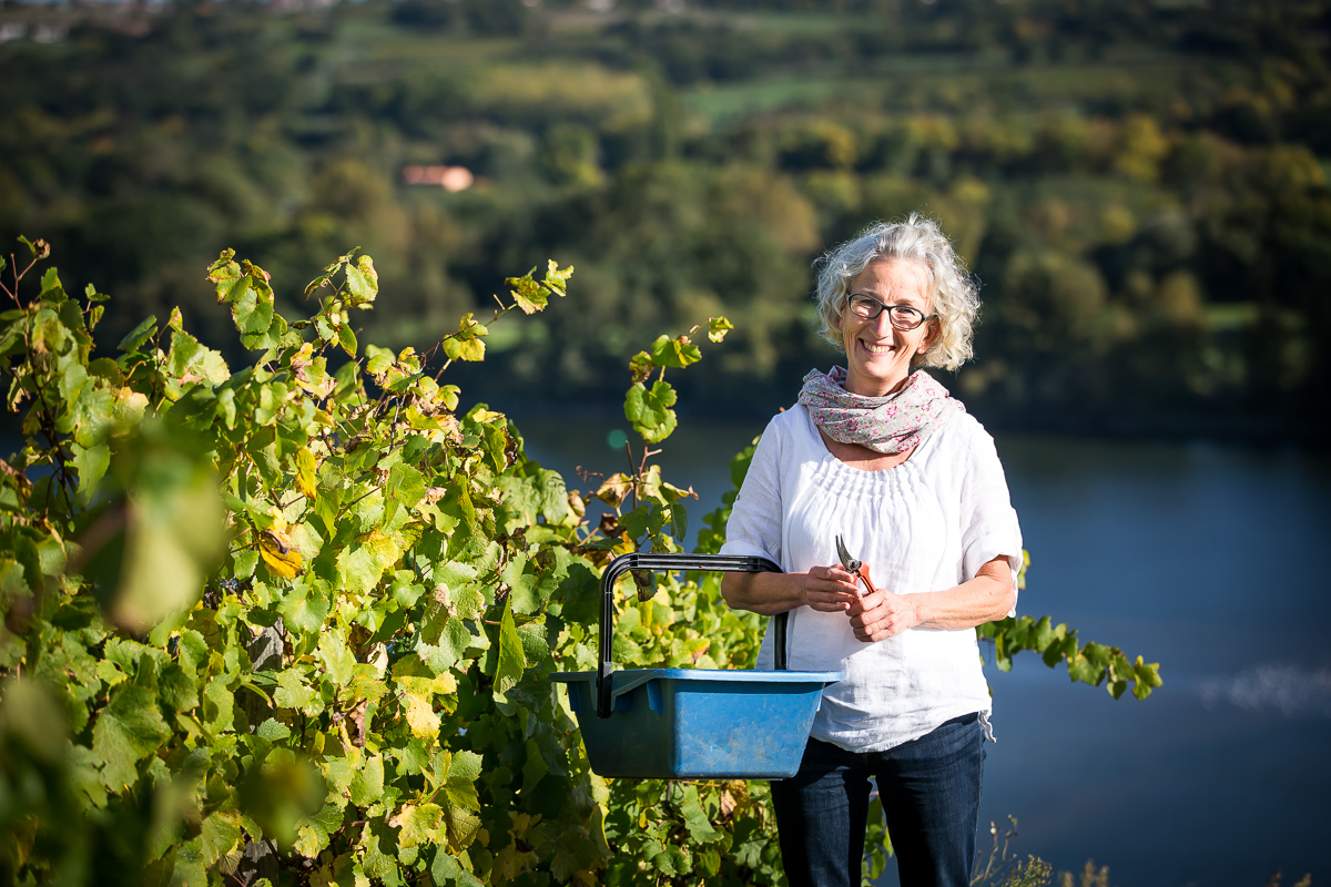 Domaine des Genaudieres au Pays d'Ancenis