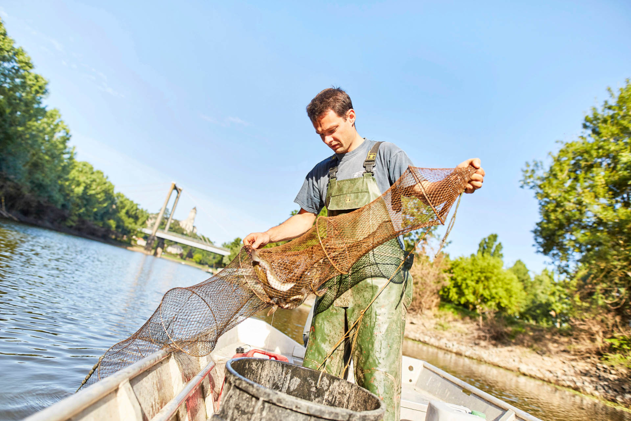 Un pécheur qui pêche à Varades