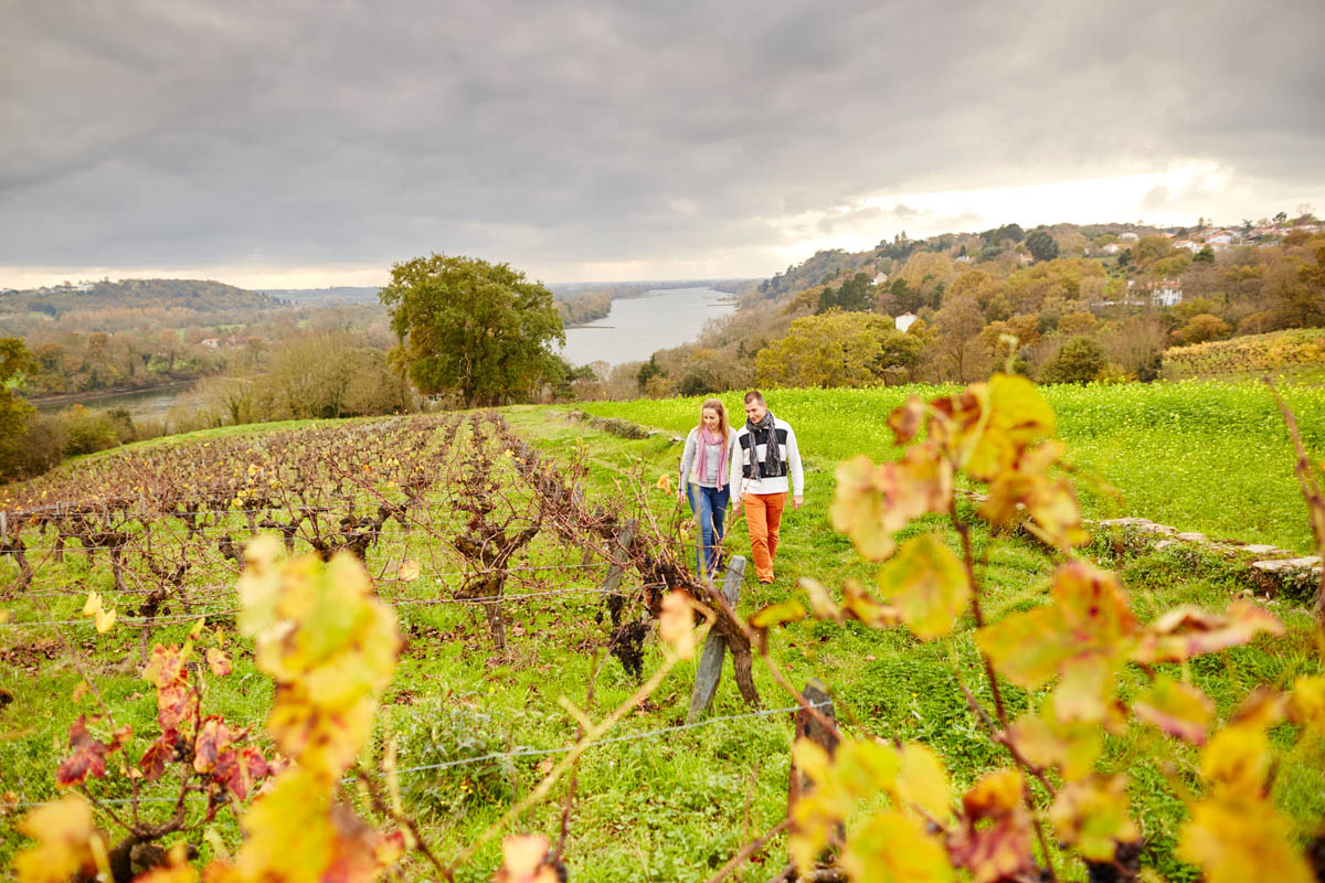 Les amoureux en Pays d'Ancenis