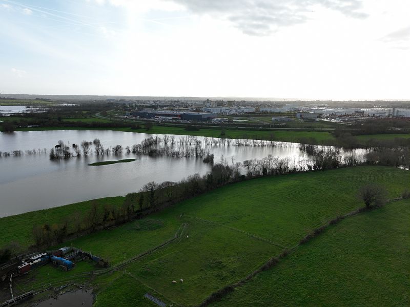 Marais de Gré du Pays d'Ancenis