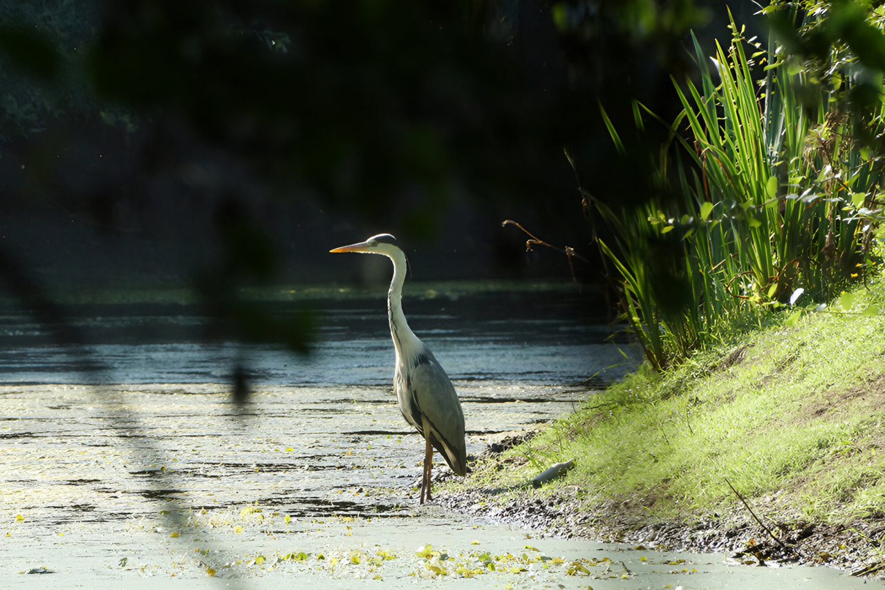 Animaux au Parc Zoologique de la Boissière